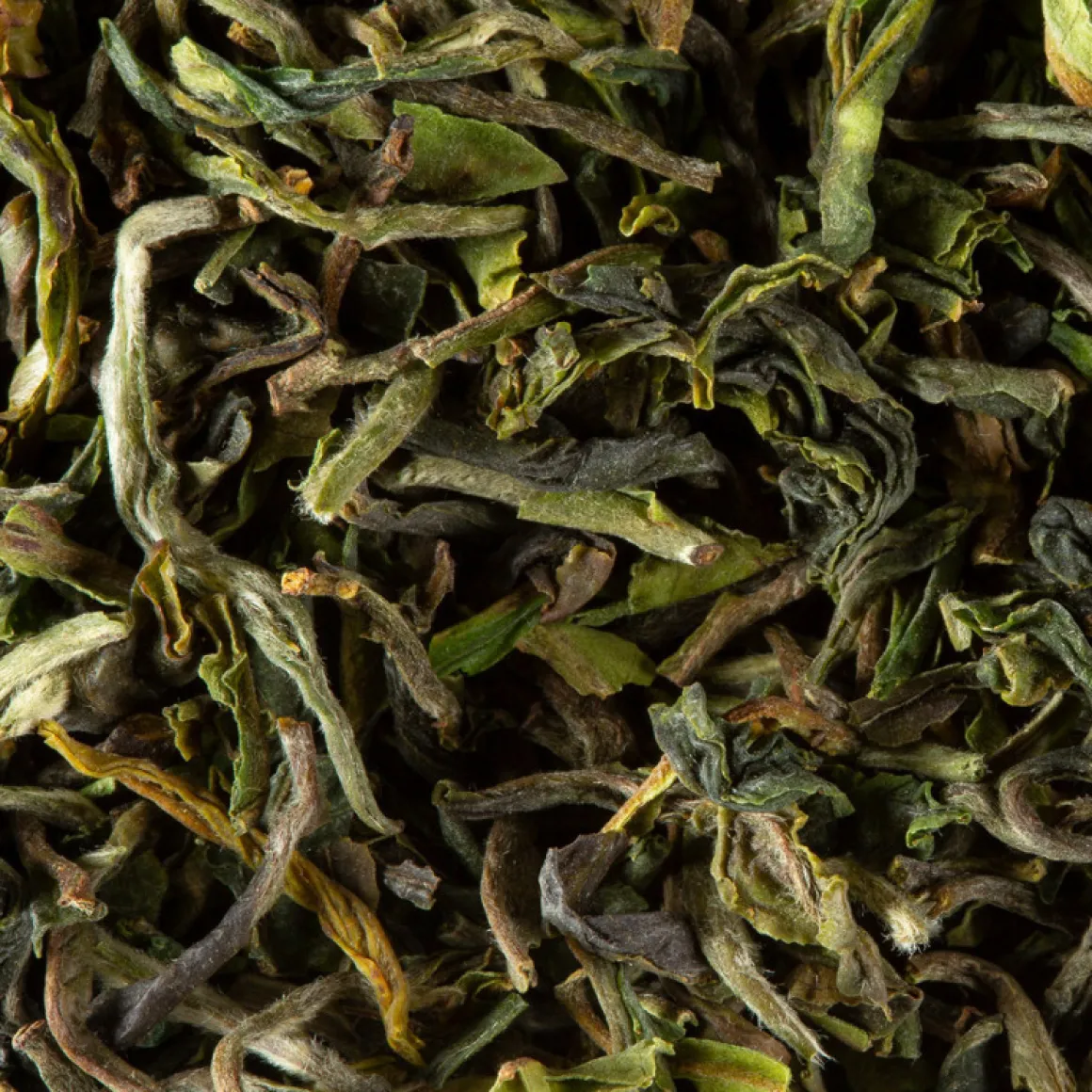 Darjeeling 1st flush GOPALDHARA F.T.G.F.O.P. Grand Cru<DAMMANN Frères Fashion