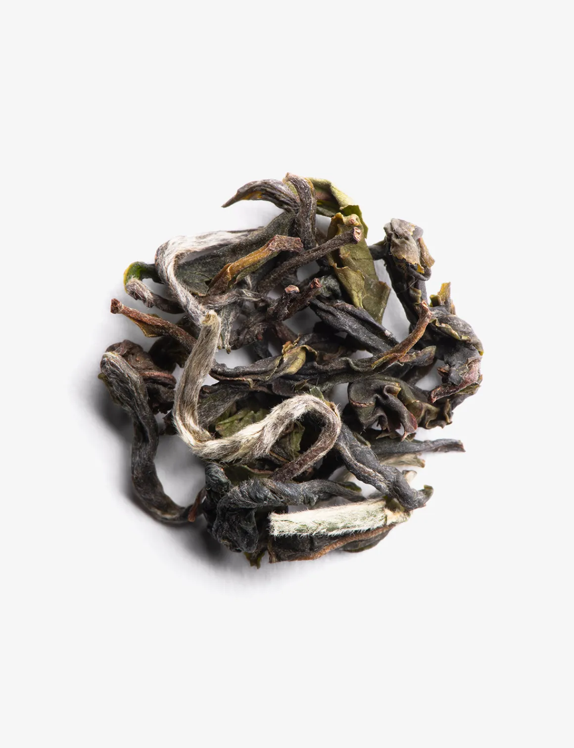 Darjeeling 1st flush Phuguri F.T.G.F.O.P. 2024 Grand Cru<DAMMANN Frères New
