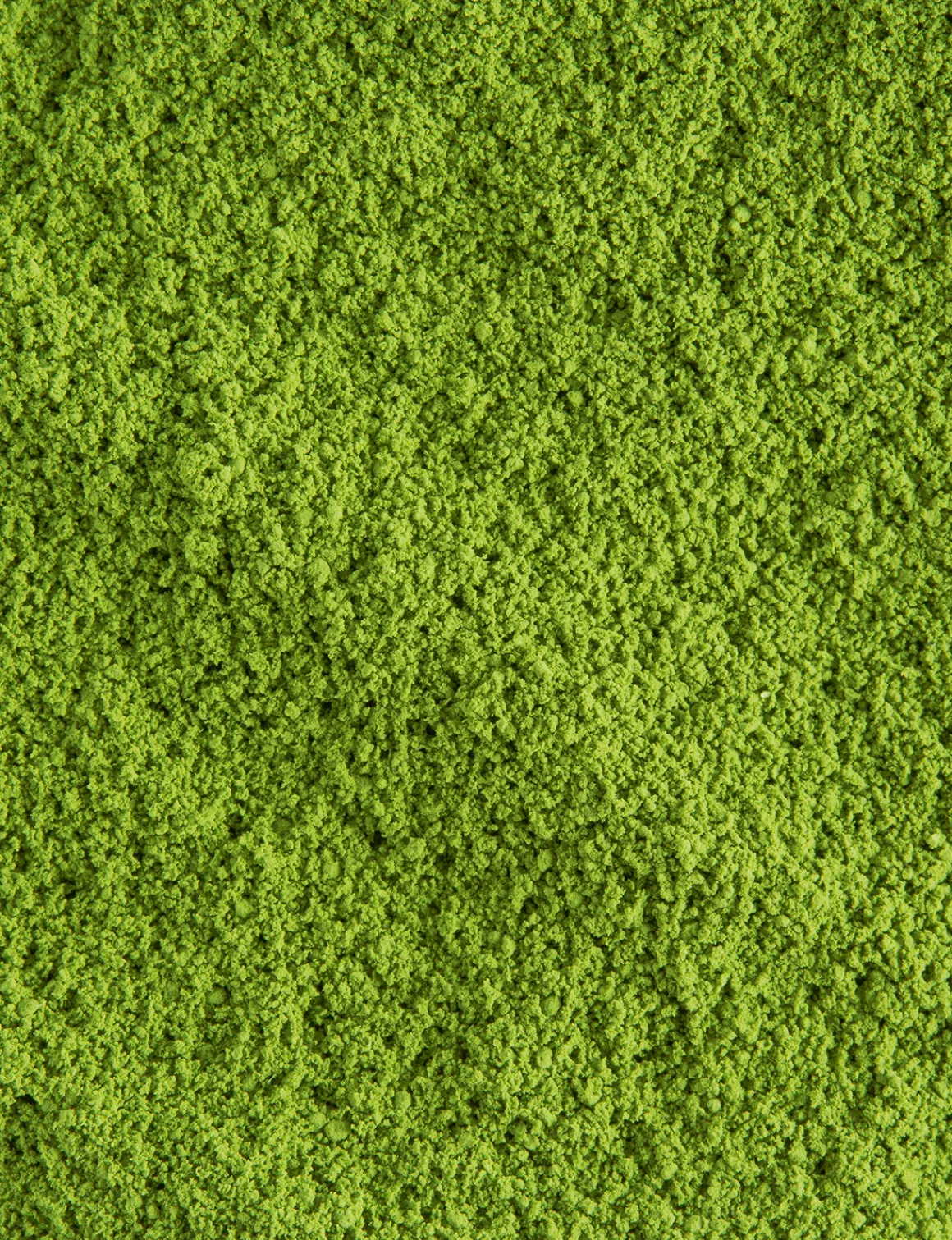 Matcha Tradition<DAMMANN Frères Shop