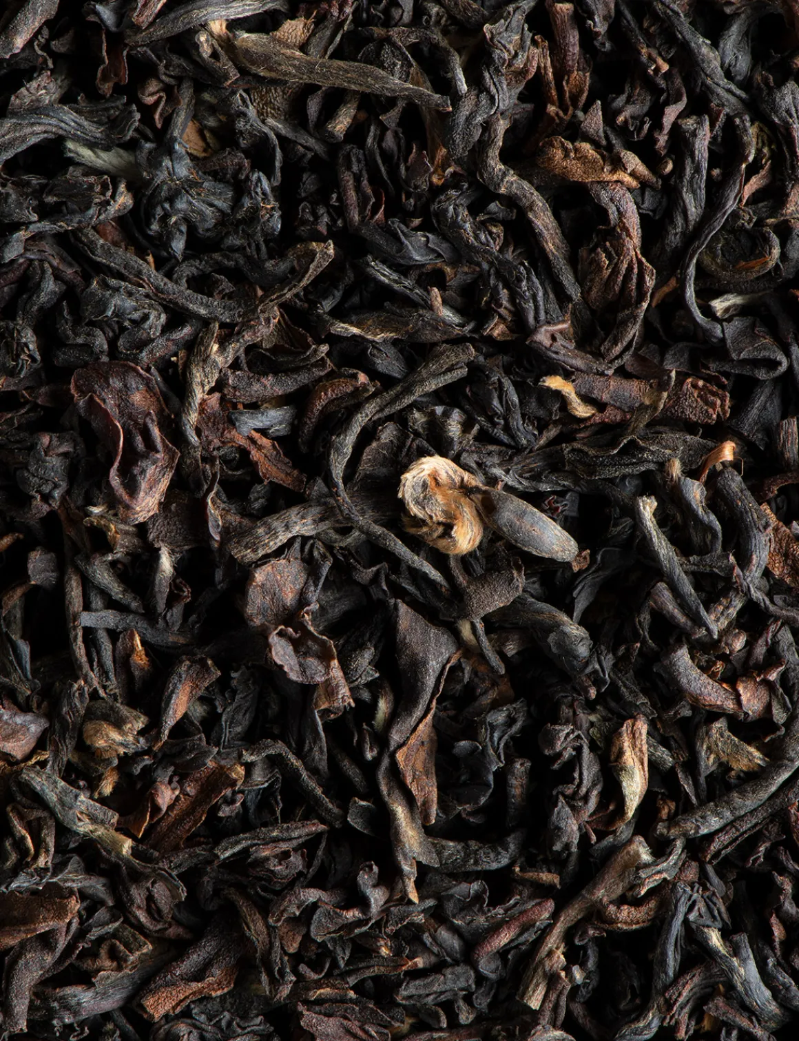 Thé noir Darjeeling BIO<DAMMANN Frères Best Sale