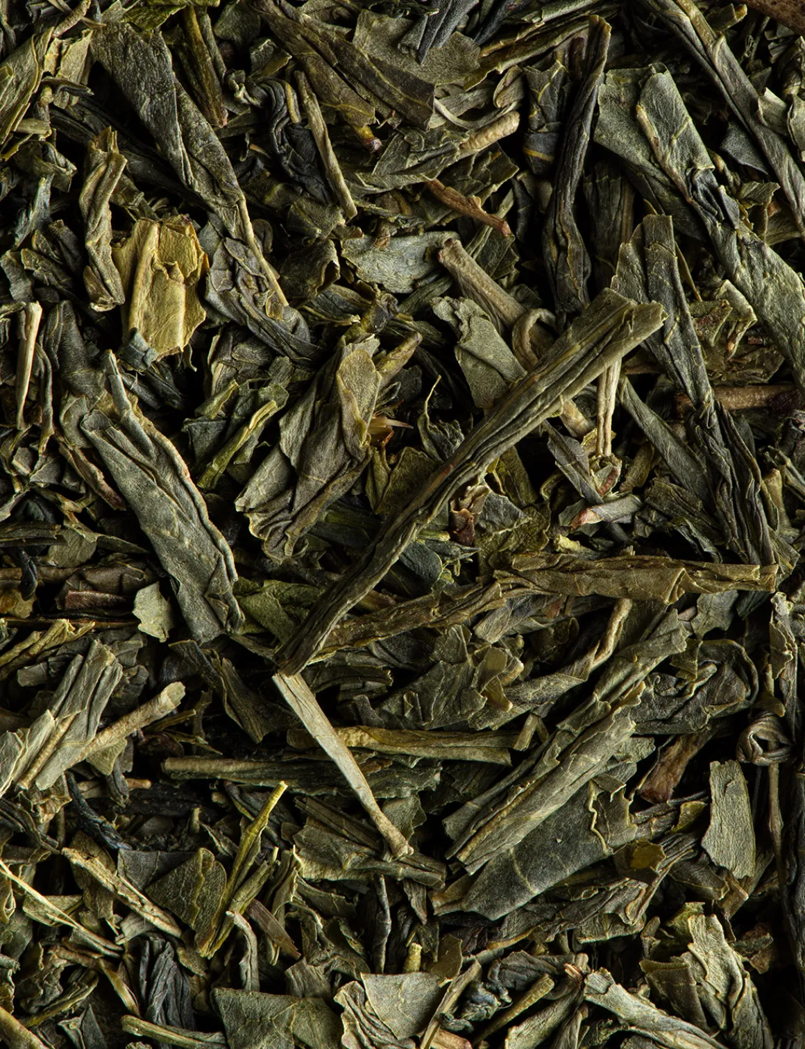 Thé vert Sencha BIO<DAMMANN Frères Sale