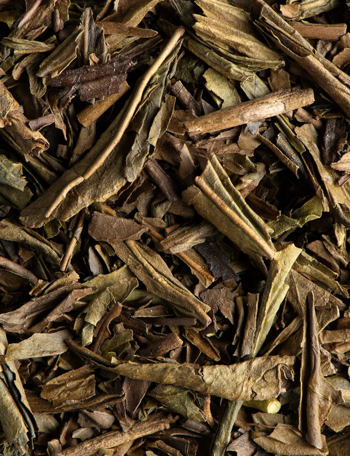 Thé vert torréfié Houjicha BIO<DAMMANN Frères Online