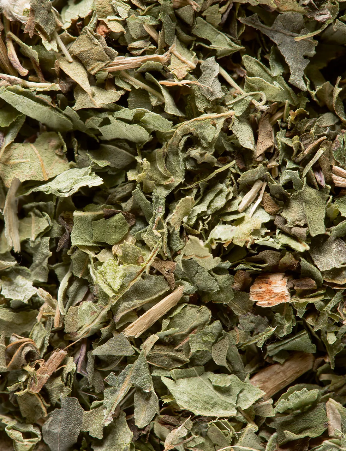 Verveine-menthe poivrée<DAMMANN Frères Outlet